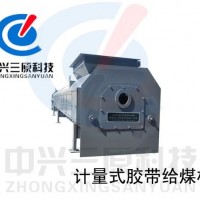 計(jì)量式膠帶給煤機(jī)