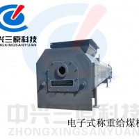 電子稱重式給煤機(jī)