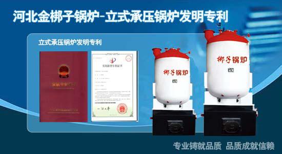 供應新型節能環保立式蒸汽鍋爐