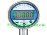 ZX79G兆歐表電阻器、Y039手操泵